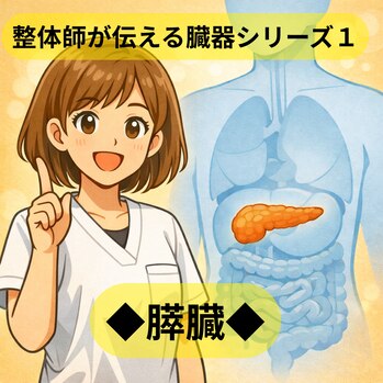 整体師が伝える臓器シリーズ１ 膵臓