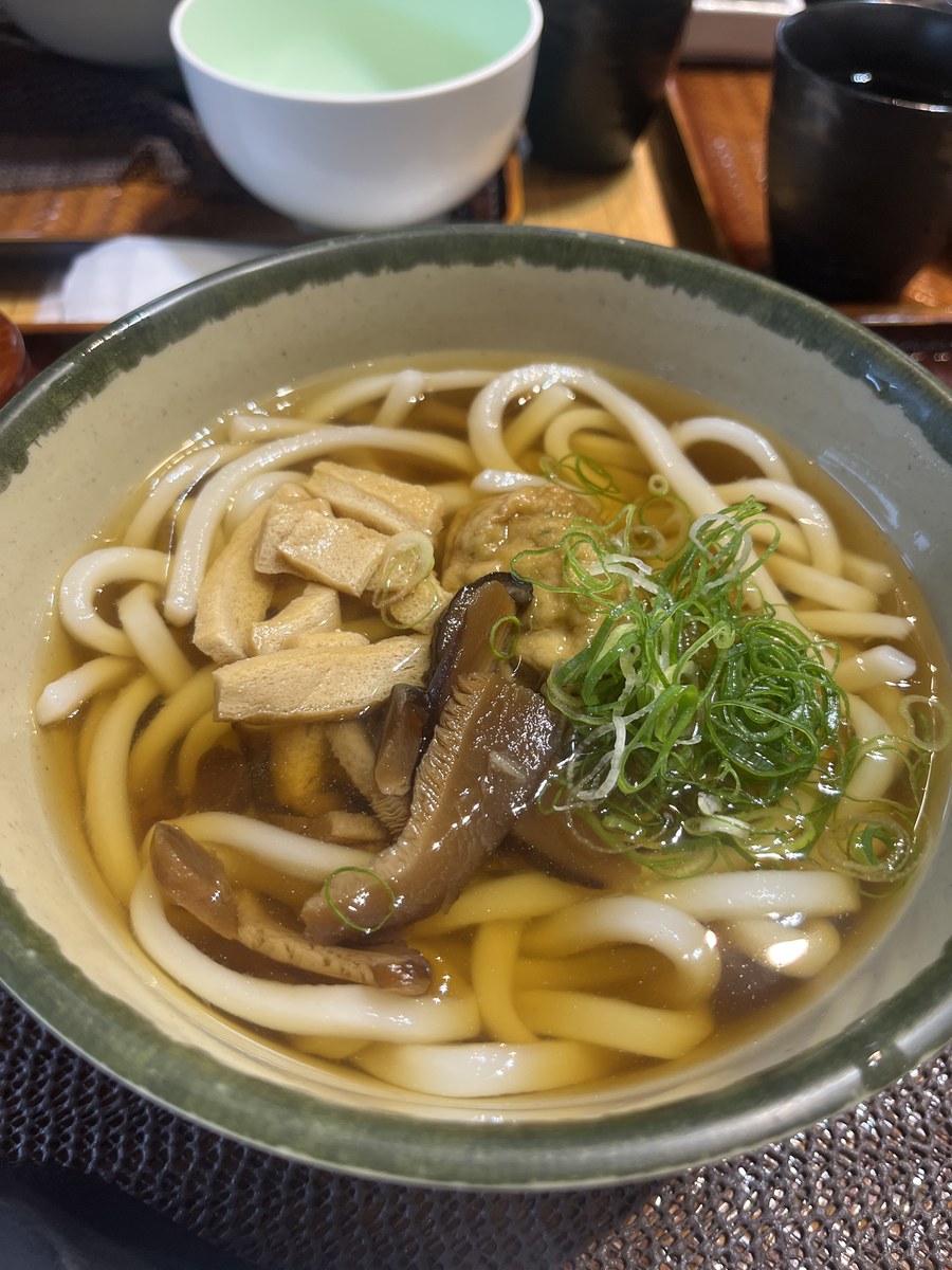 南山城村の道の駅でいただいた名物「村うどん」