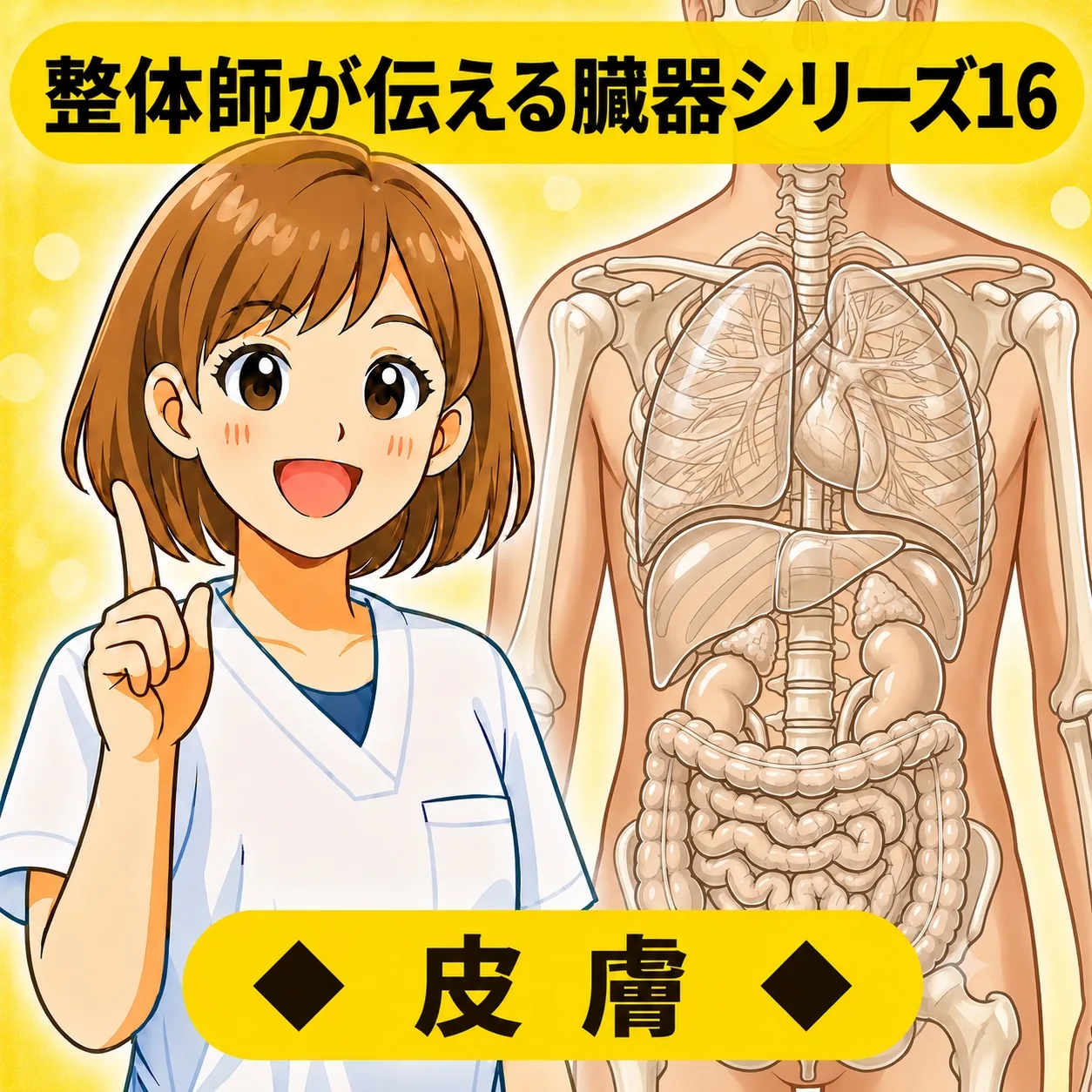 整体師が伝える臓器シリーズ Vol.16 皮膚 ─ 皮膚をやさしく解説するイラスト