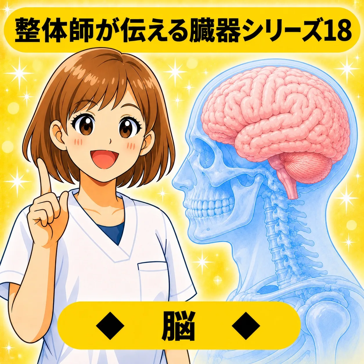 整体師が伝える臓器シリーズ Vol.18 脳 ─ 脳をやさしく解説するイラスト