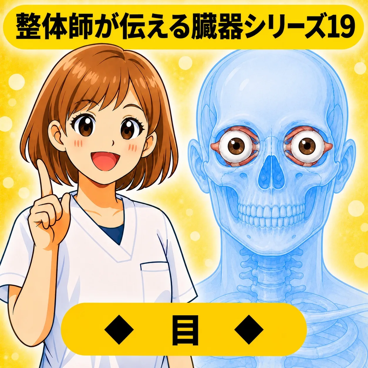 整体師が伝える臓器シリーズ Vol.19 目 ─ 目をやさしく解説するイラスト